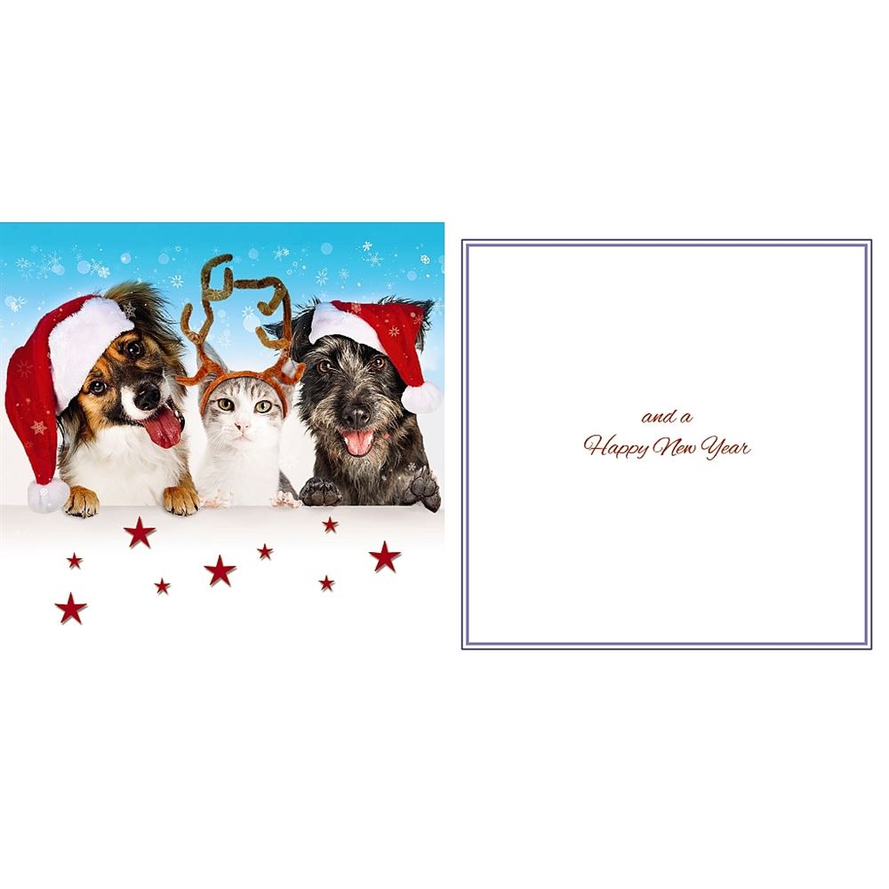 Dogs & Cat Photographic 3D Lenticular  Detachable Keepsake Christmas Card