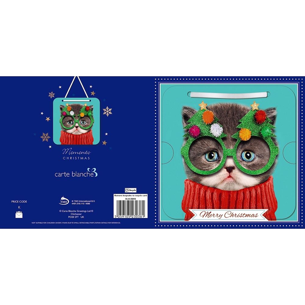 Cat In Glasses Photographic 3D Lenticular with Detachable Keepsake Christmas Card