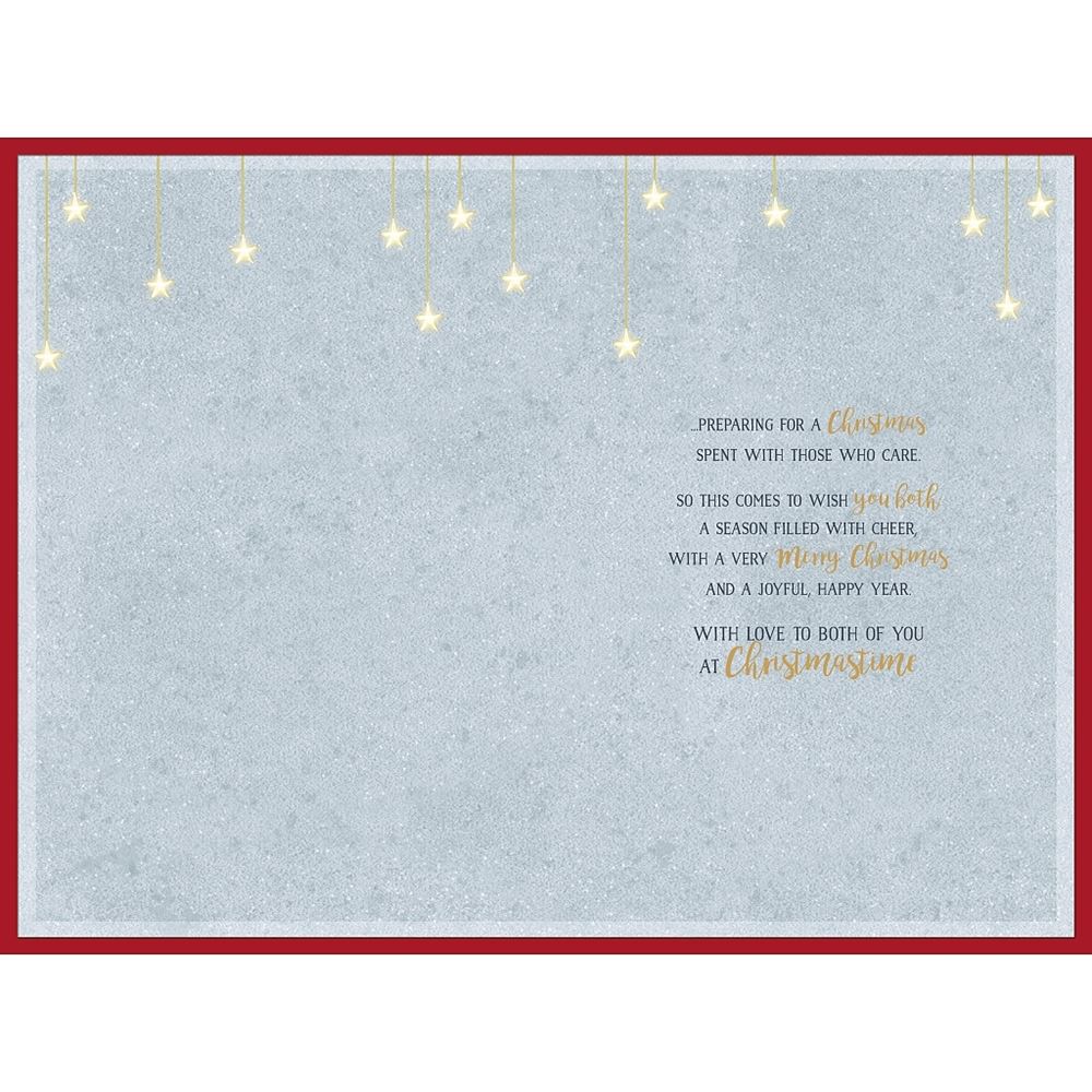 Penguins Stood on Moon Granddaughter & Partner Christmas Card