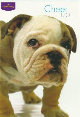 Cheer Up.... Birthday Card 