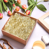 Ivory Tissue Shred 20g