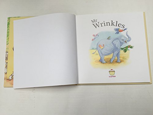 Mr Wrinkles Paperback