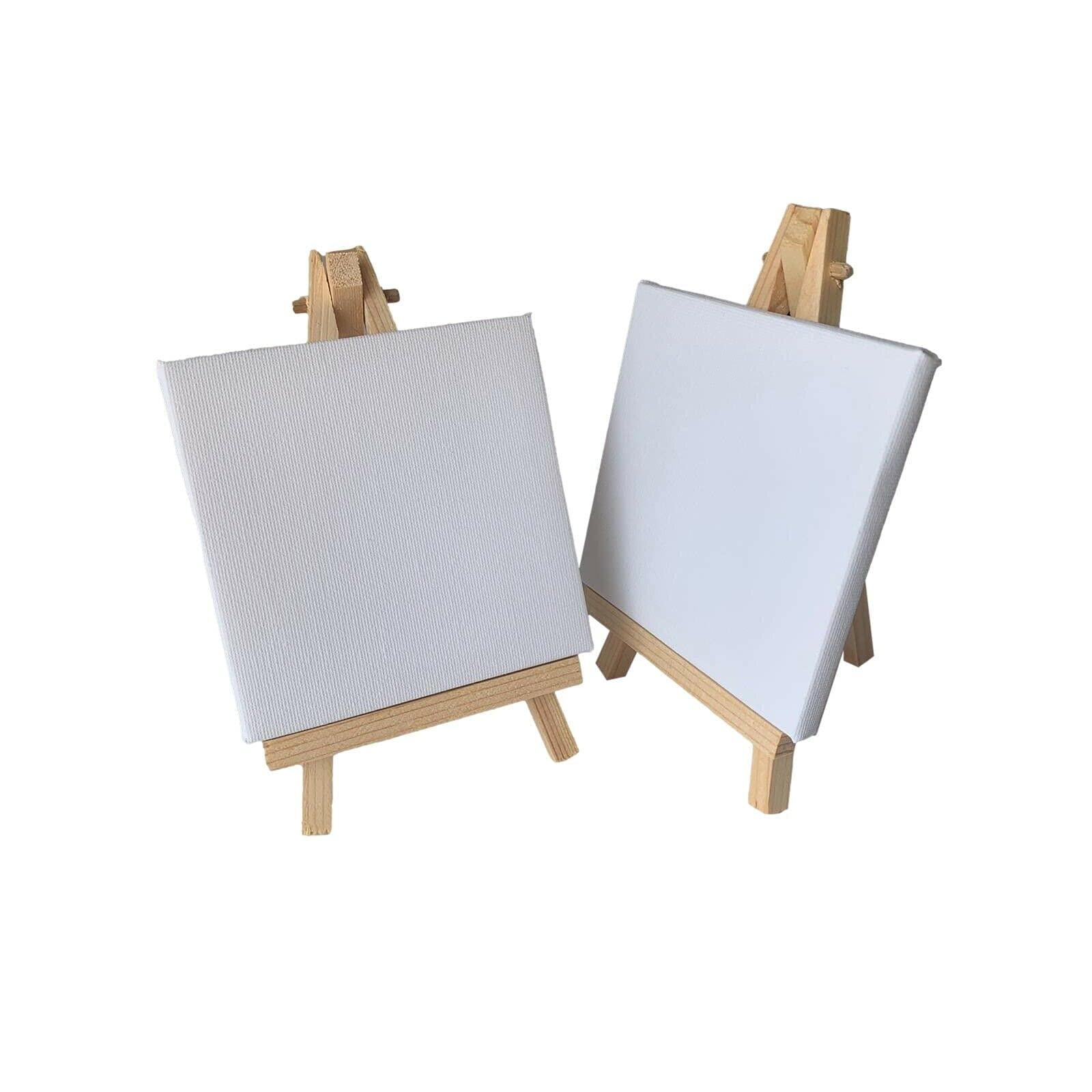 Mini Easel and Canvas Set