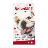 Hallmark Valentine's Day Card 'Paws Off You' Medium 
