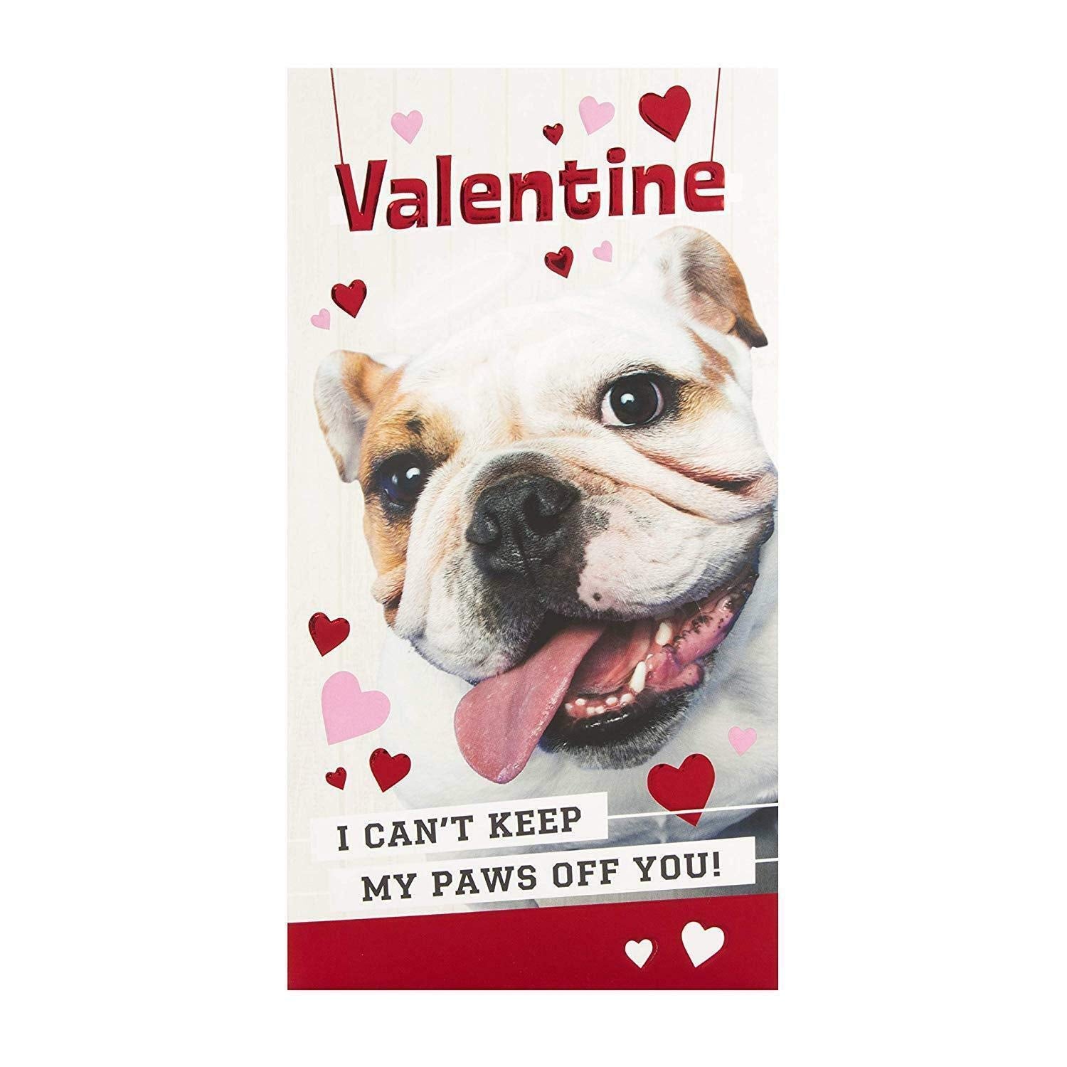 Hallmark Valentine's Day Card 'Paws Off You' Medium 