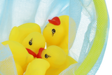 Pack of 5 Pieces Ducks with Net