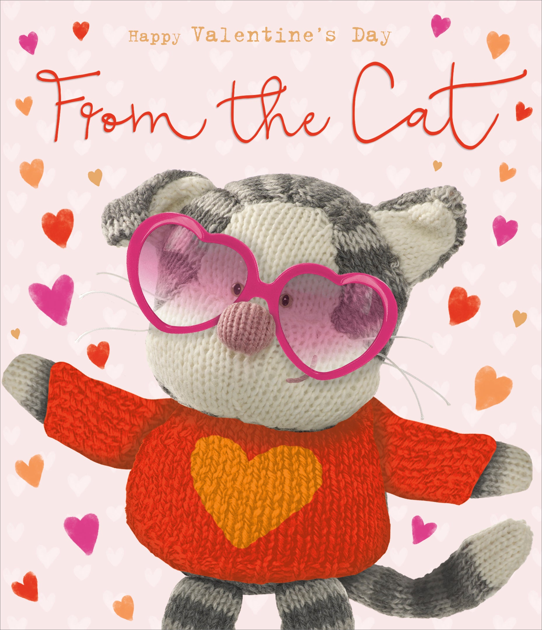 Puddy Wearing a Jumper and Heart Sunglasses From The Cat Valentine's Day Card 