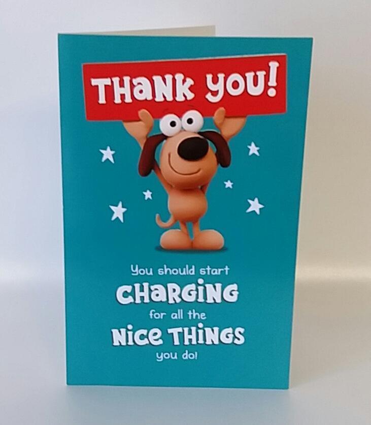 Thank You Humour Nice Things Greeting Card