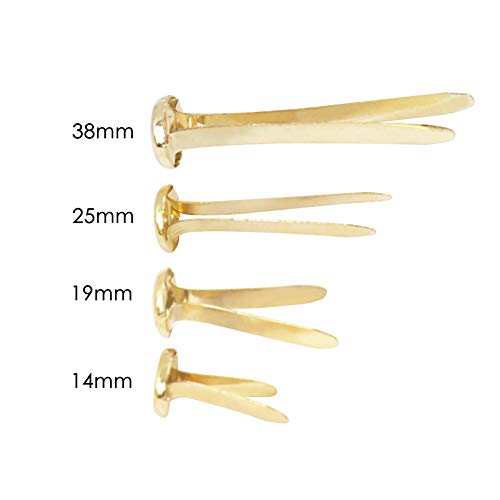 Pack of 100 Paper Fasteners 19mm - Butterfly Clips