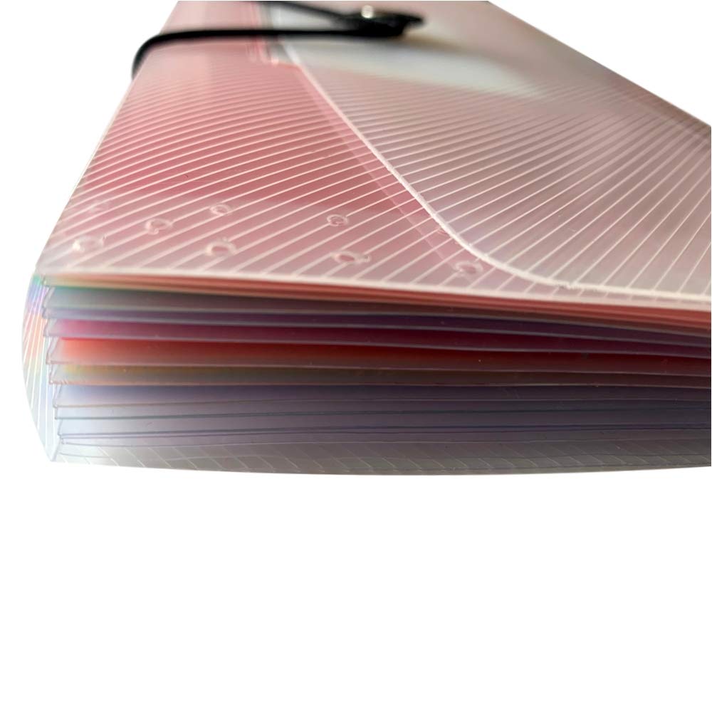 13 Part DL Rainbow Coloured Tabs Expanding File with Elastic Closure