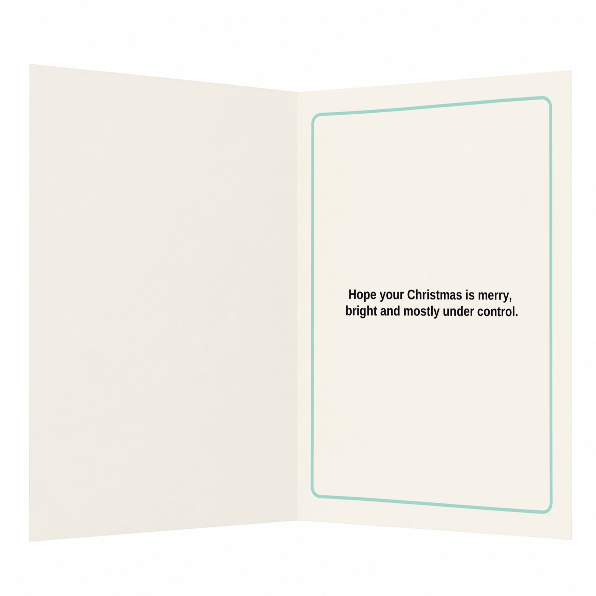 Sleigh First Panic Later Humorous Holiday Christmas Card