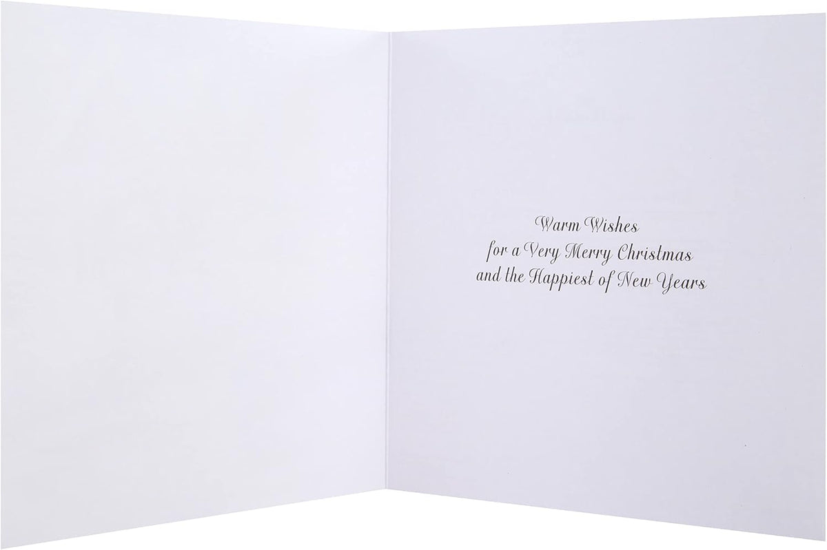 Ice Skating, Winter Activities Thomas Kinkade 30 Multipack 5 Designs Charity Christmas Cards
