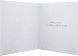 Robin 16 Pack 2 Designs Charity Christmas Cards