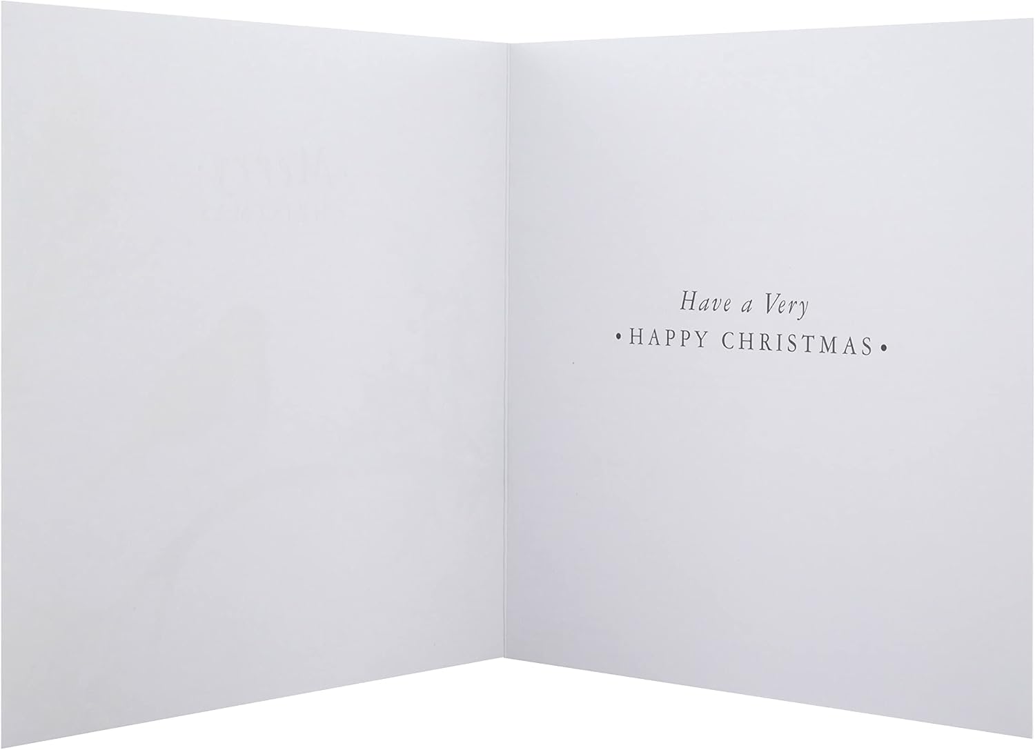 Robin 16 Pack 2 Designs Charity Christmas Cards