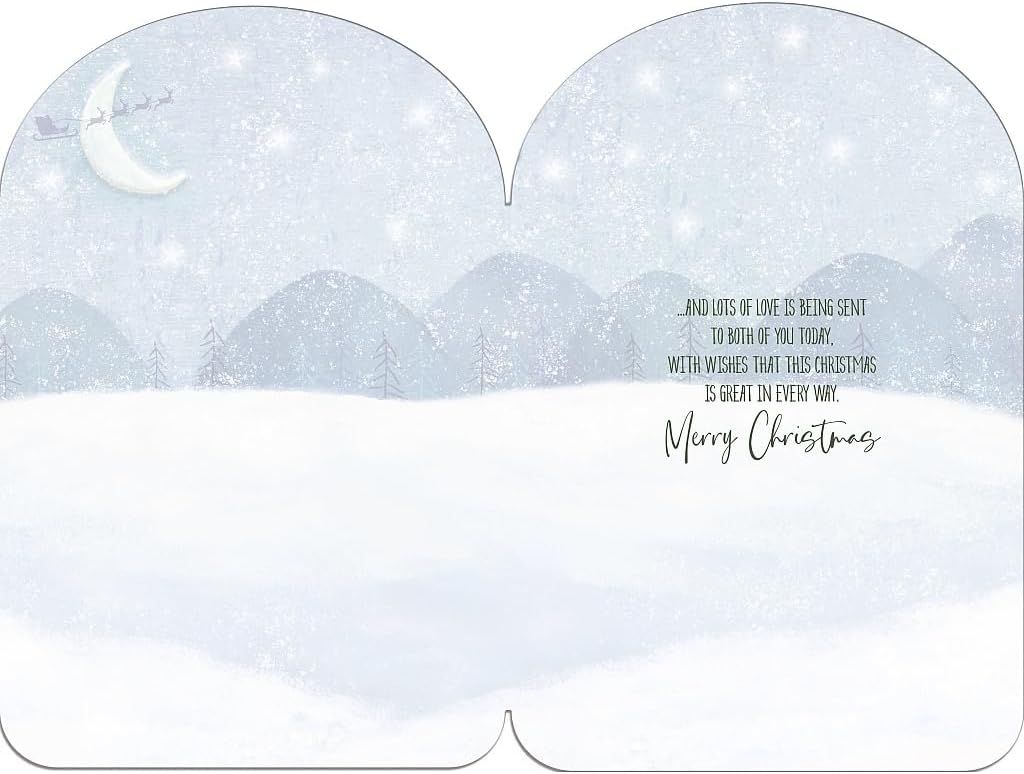 Dogs With Stockings Both Of You Christmas Card
