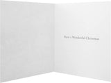 Festive Scene 16 Pack 2 Designs Charity Christmas Cards