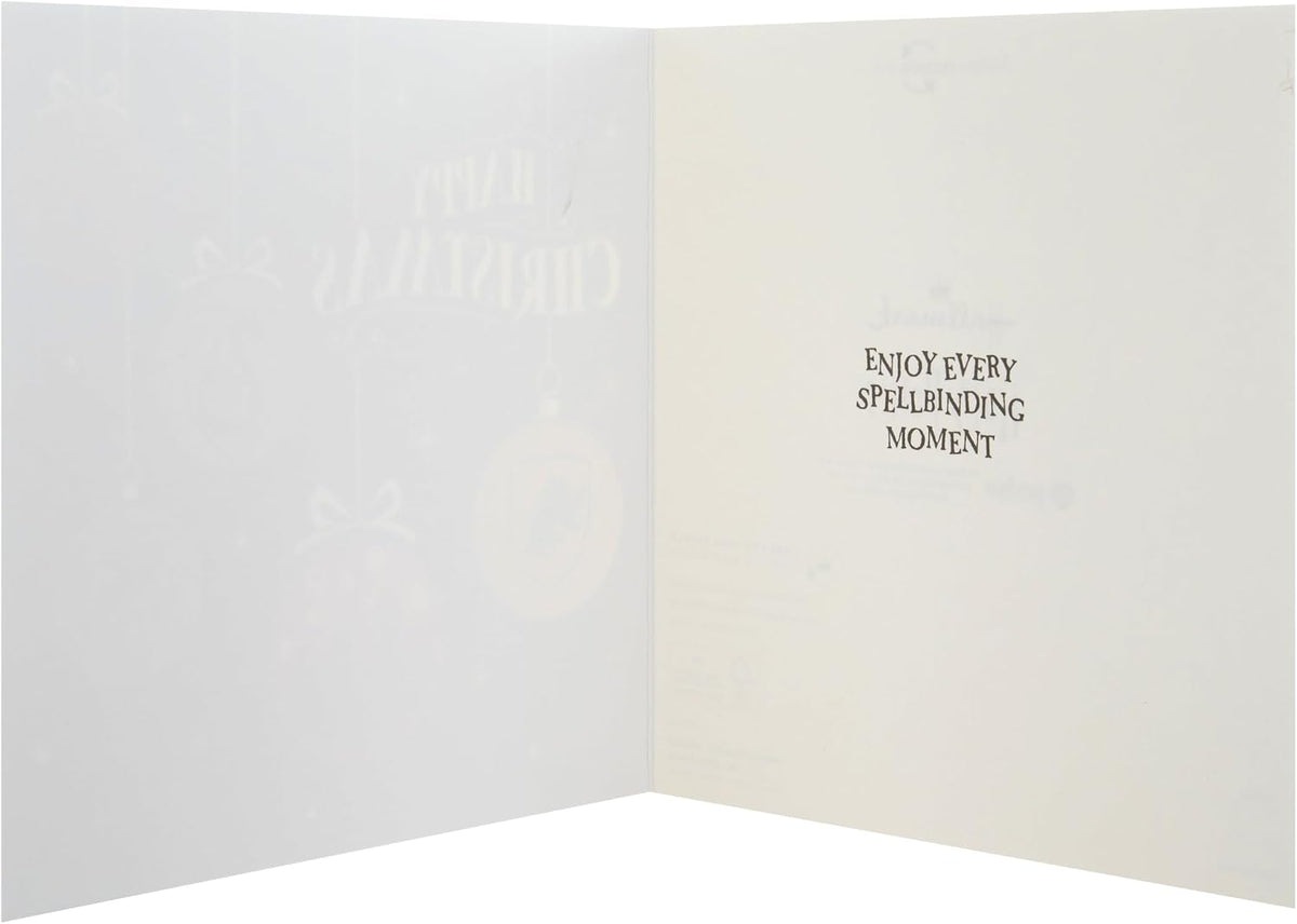 Harry Potter Enchanting 2 Designs Pack of 10 Christmas Cards