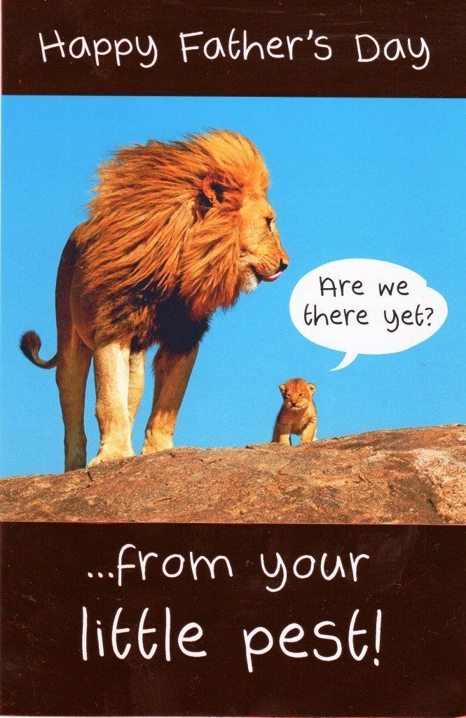 Dad From Little Pest Happy Father's Day Card Humour Greeting Cards 