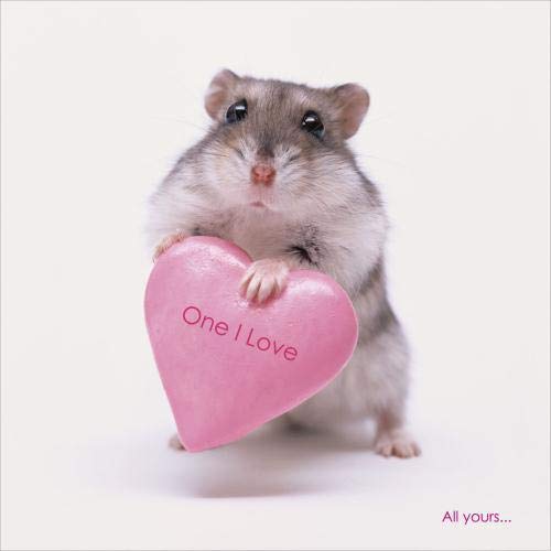 One I Love Pink Heart Valentine's Day Card 