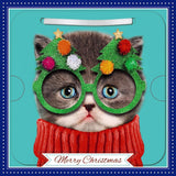 Cat In Glasses Photographic 3D Lenticular with Detachable Keepsake Christmas Card