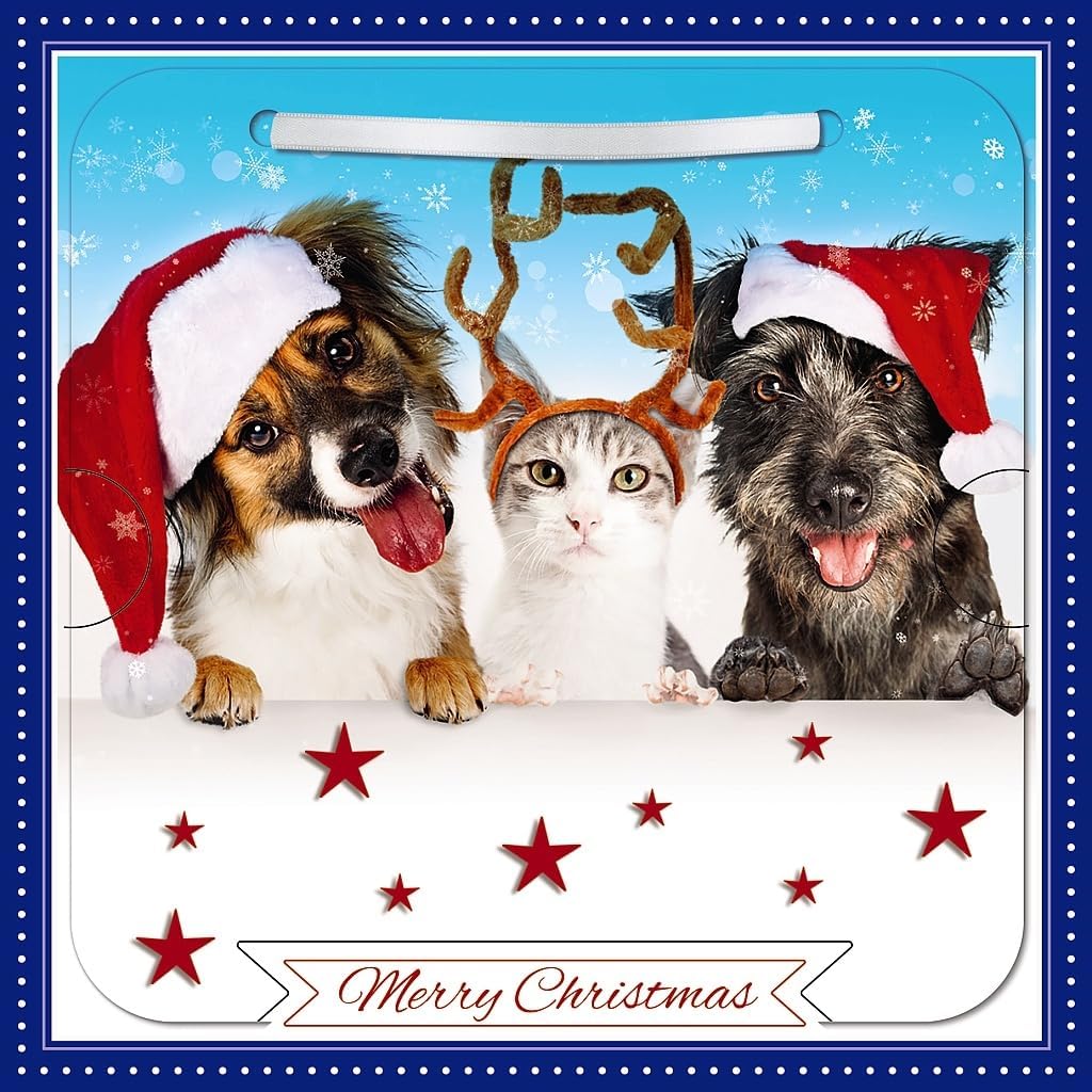 Dogs & Cat Photographic 3D Lenticular  Detachable Keepsake Christmas Card