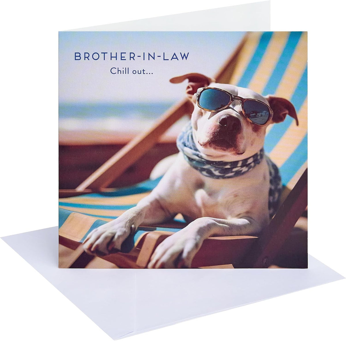 Dog in a Deckchair Design Brother In Law Birthday Card