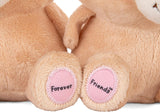 Better Together Forever Friends Magnetic Plush Pair