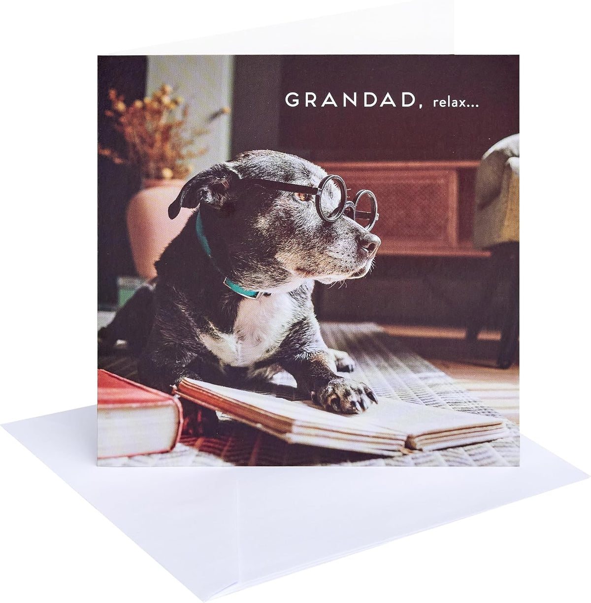 Fun Dog Design Grandad Birthday Card