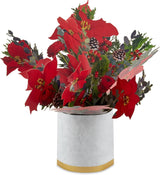 Poinsettia Bouquet Jumbo Sized 3D Pop Up Christmas Card