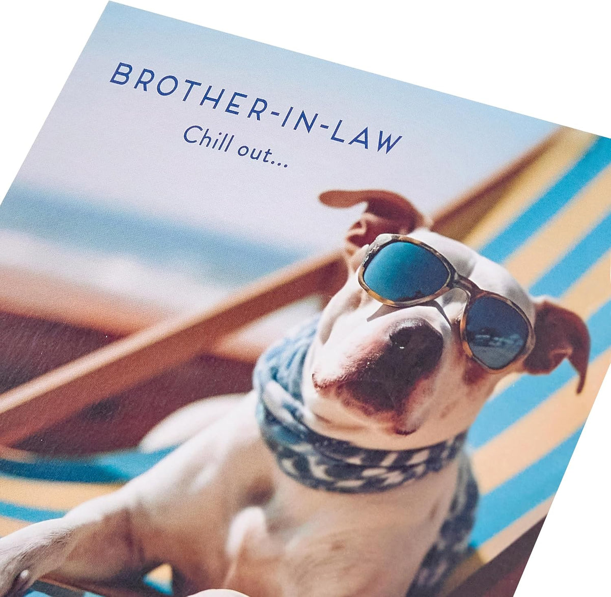 Dog in a Deckchair Design Brother In Law Birthday Card