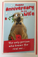 UK Greetings Wife Anniversary Fold Out Greetings Card Meerkat 8.25" x 5.25" Code 407132--1 