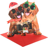Dogs With Camera Special Friends Christmas Card