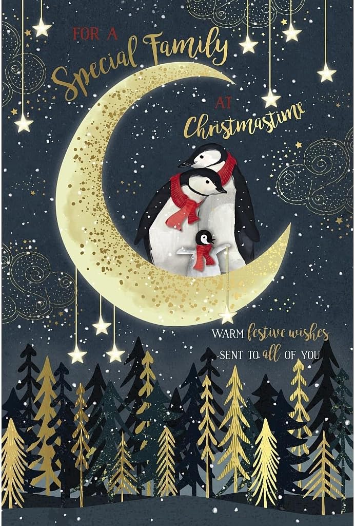 Penguins Stood on Moon Special Family Christmas Card