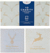 Multipack of 10 Snowman Festive Fun Design Charity Christmas Cards with Envelopes