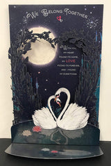 One I Love Swan Couple In Night Lovely Verse Luxury Pop Up Valentine's Day Card 