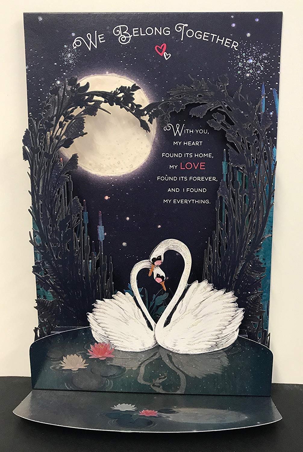 One I Love Swan Couple In Night Lovely Verse Luxury Pop Up Valentine's Day Card 