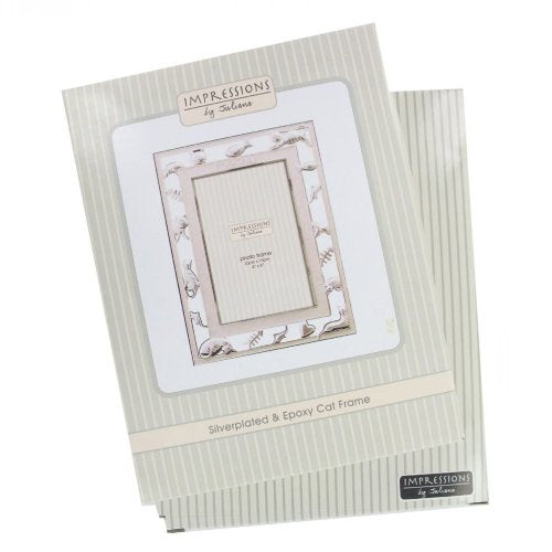 Shiny Silverplated Graduation Photo Frame with Mount