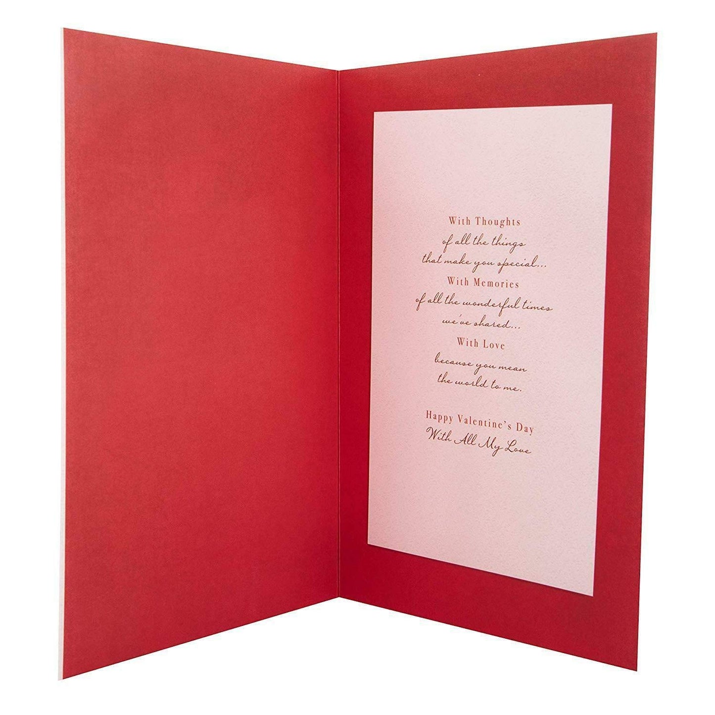 Hallmark Valentine's Day Card 'I Love You Large 