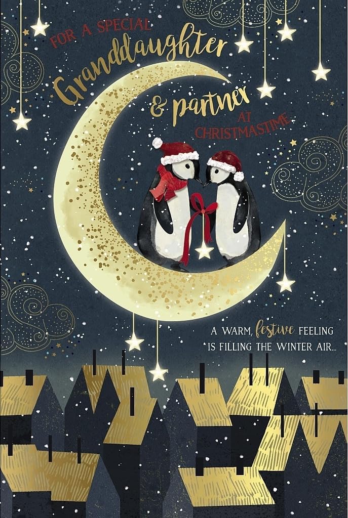 Penguins Stood on Moon Granddaughter & Partner Christmas Card