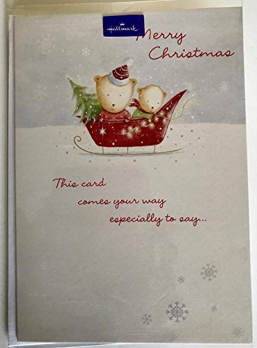 Happy Wishes To You For All The Year Through Cute Christmas Card 