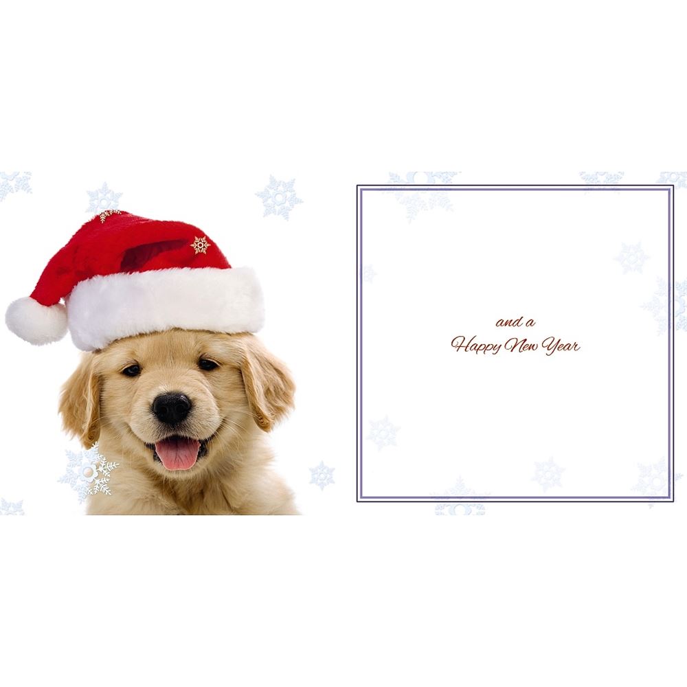 Dog With Santa Hat Photographic 3D Lenticular Merry Christmas Card with Detachable Keepsake