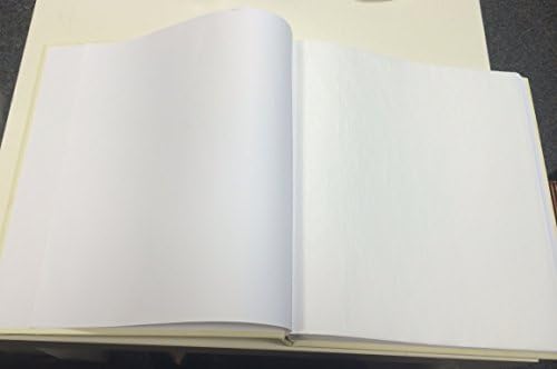 Rich Cream Colour,Pearl Series Rose Design Wedding Album 32 x 27.5cm