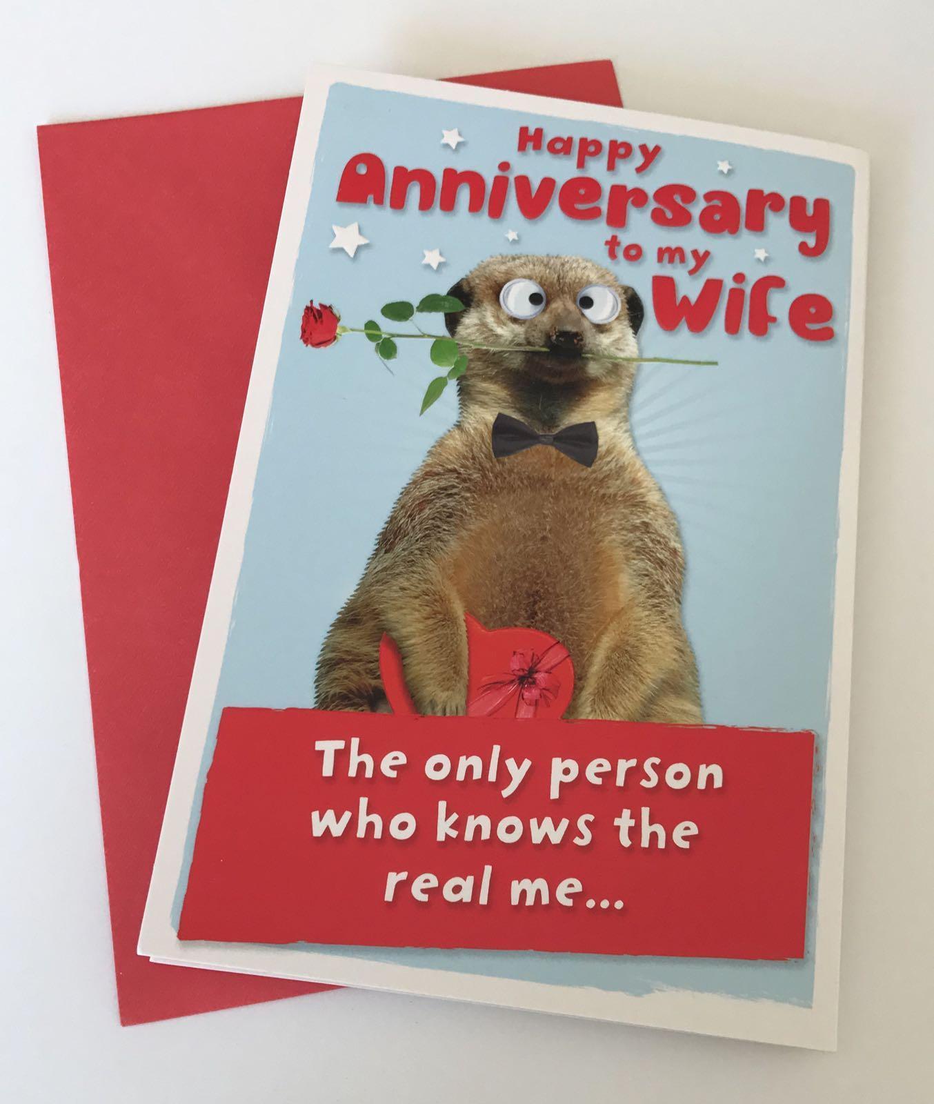 UK Greetings Wife Anniversary Fold Out Greetings Card Meerkat 8.25" x 5.25" Code 407132--1 