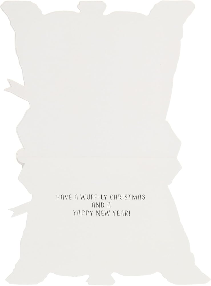 Dogs With Camera Special Friends Christmas Card