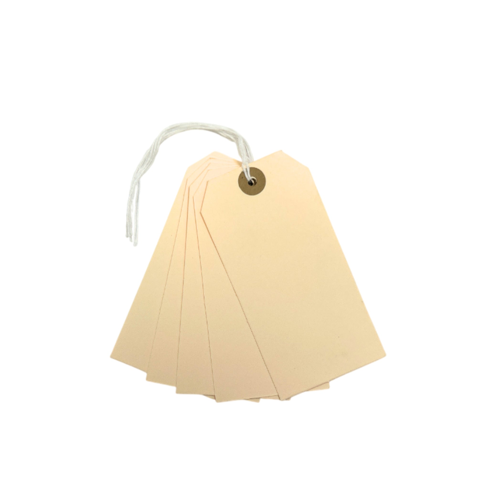 Pack of 20 Manila Luggage Strung Tags 60 x 120mm