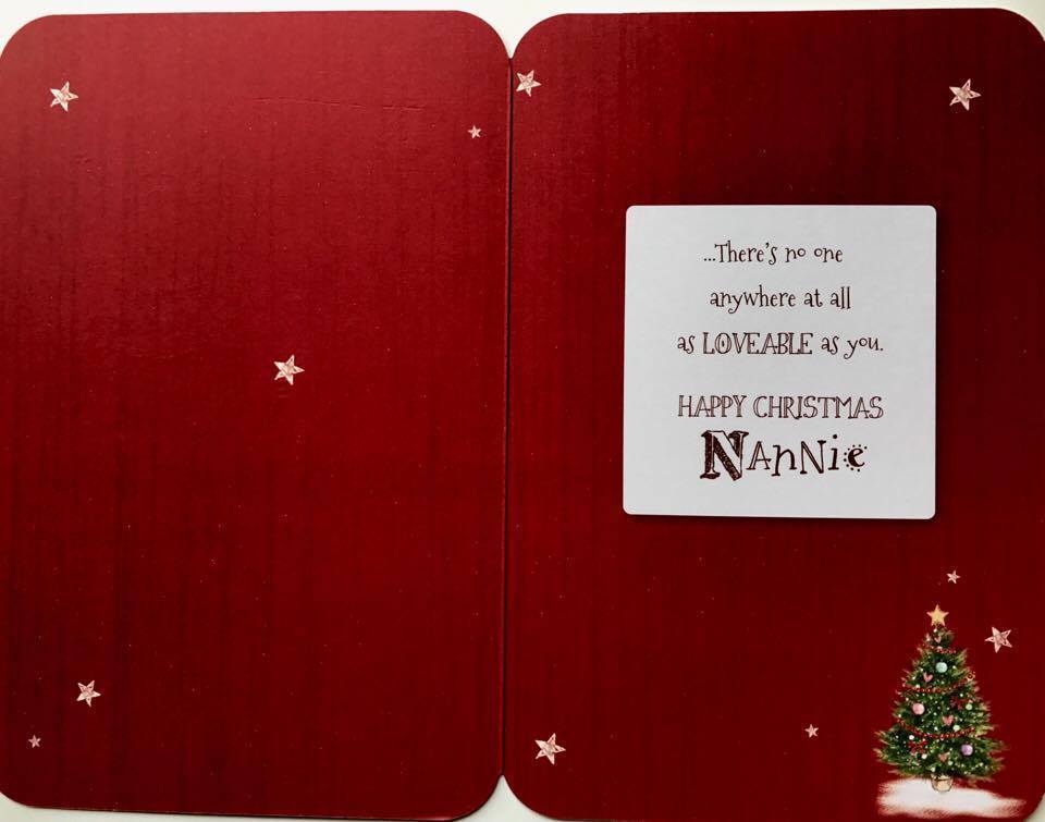 NANNIE Cute Bear With Christmas Tree Loveable Greeting Card 