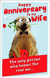 UK Greetings Wife Anniversary Fold Out Greetings Card Meerkat 8.25" x 5.25" Code 407132--1 
