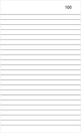 Triplicate Memo Book 8.25"x5" (210 x 127mm)