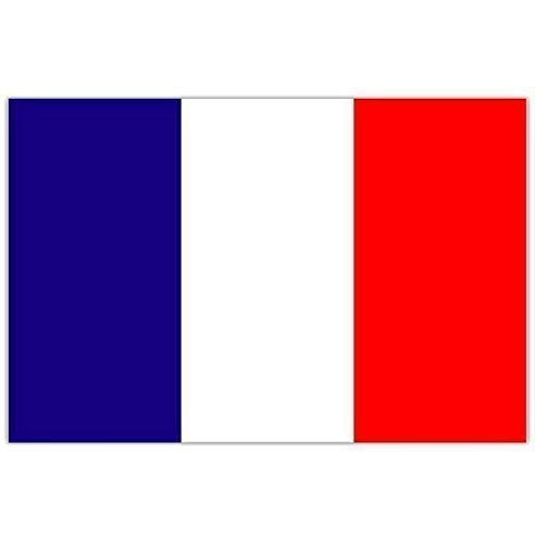 France Flag 5ft X 3ft
