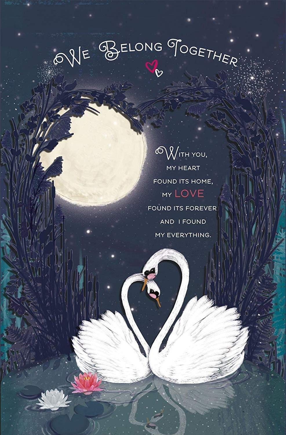 One I Love Swan Couple In Night Lovely Verse Luxury Pop Up Valentine's Day Card 